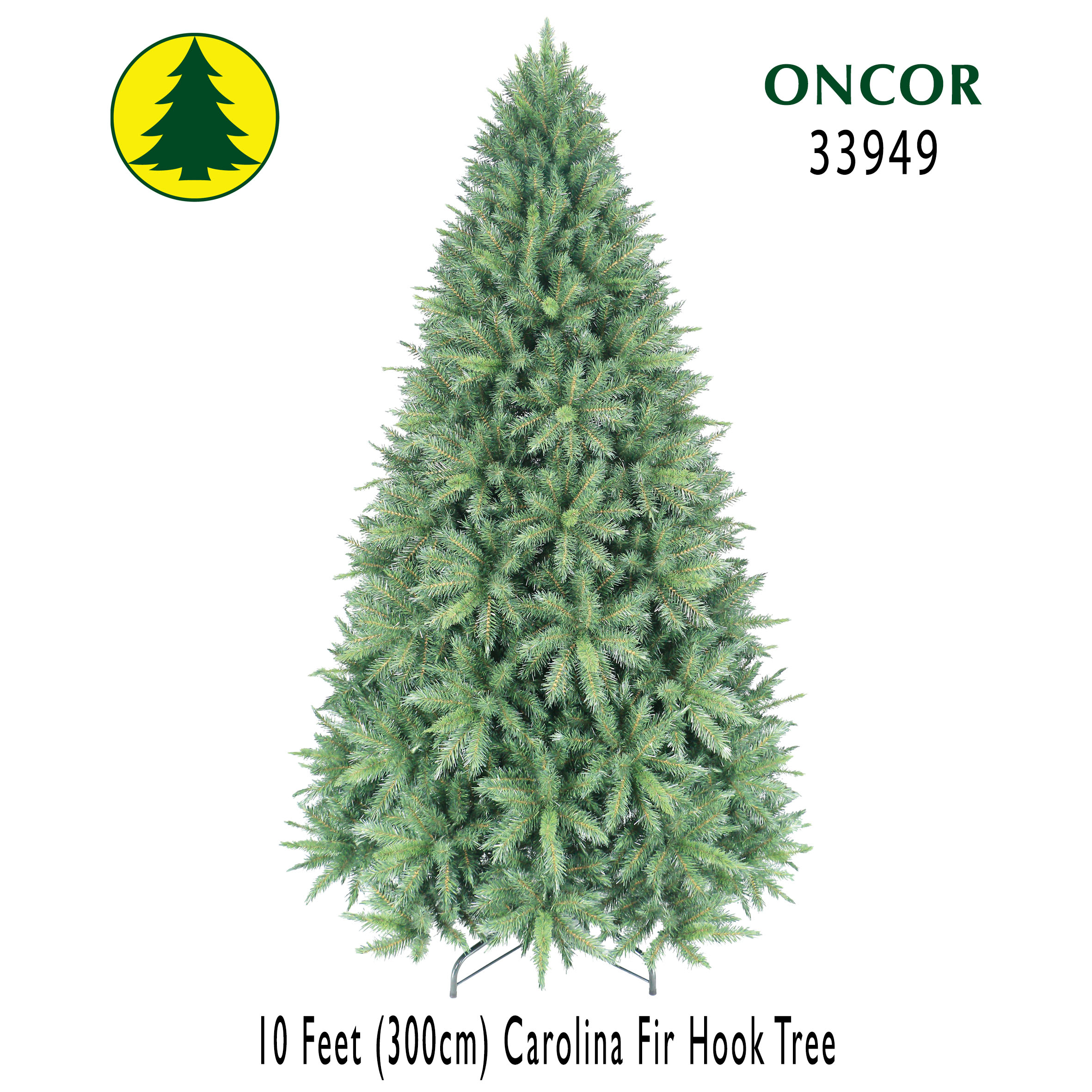 10Ft_33949_Box.jpg