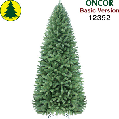 Item 12392 : 12ft Glacier Pine