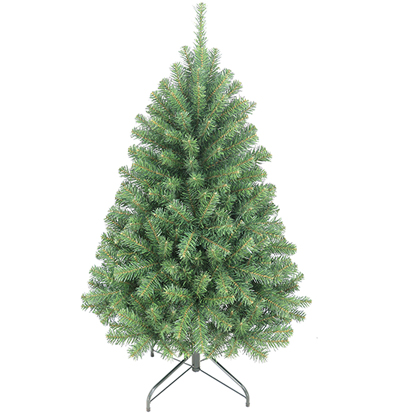 Item 42240 : 4ft Christal Nordmann Fir