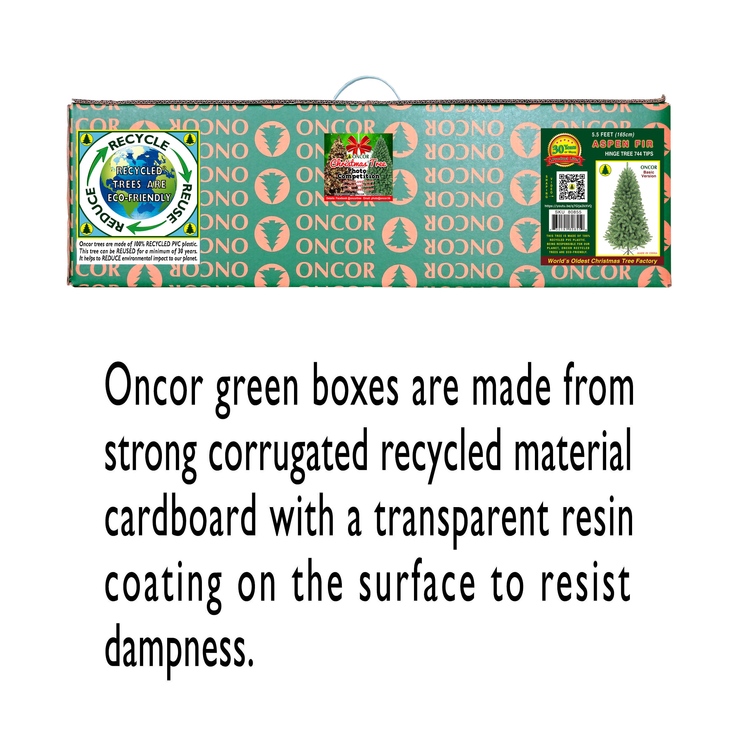 slide1_80855.jpg