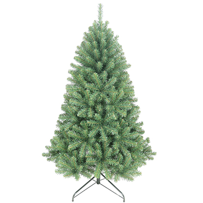 Item 42250 : 5ft Christal Nordmann Fir