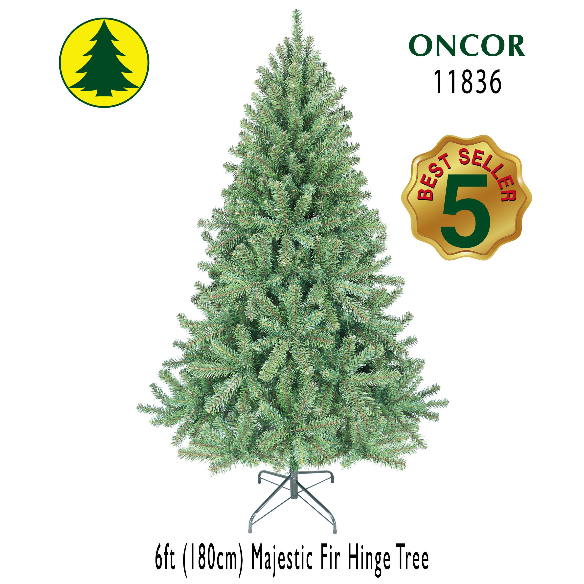 6Ft_11836_Box.jpg