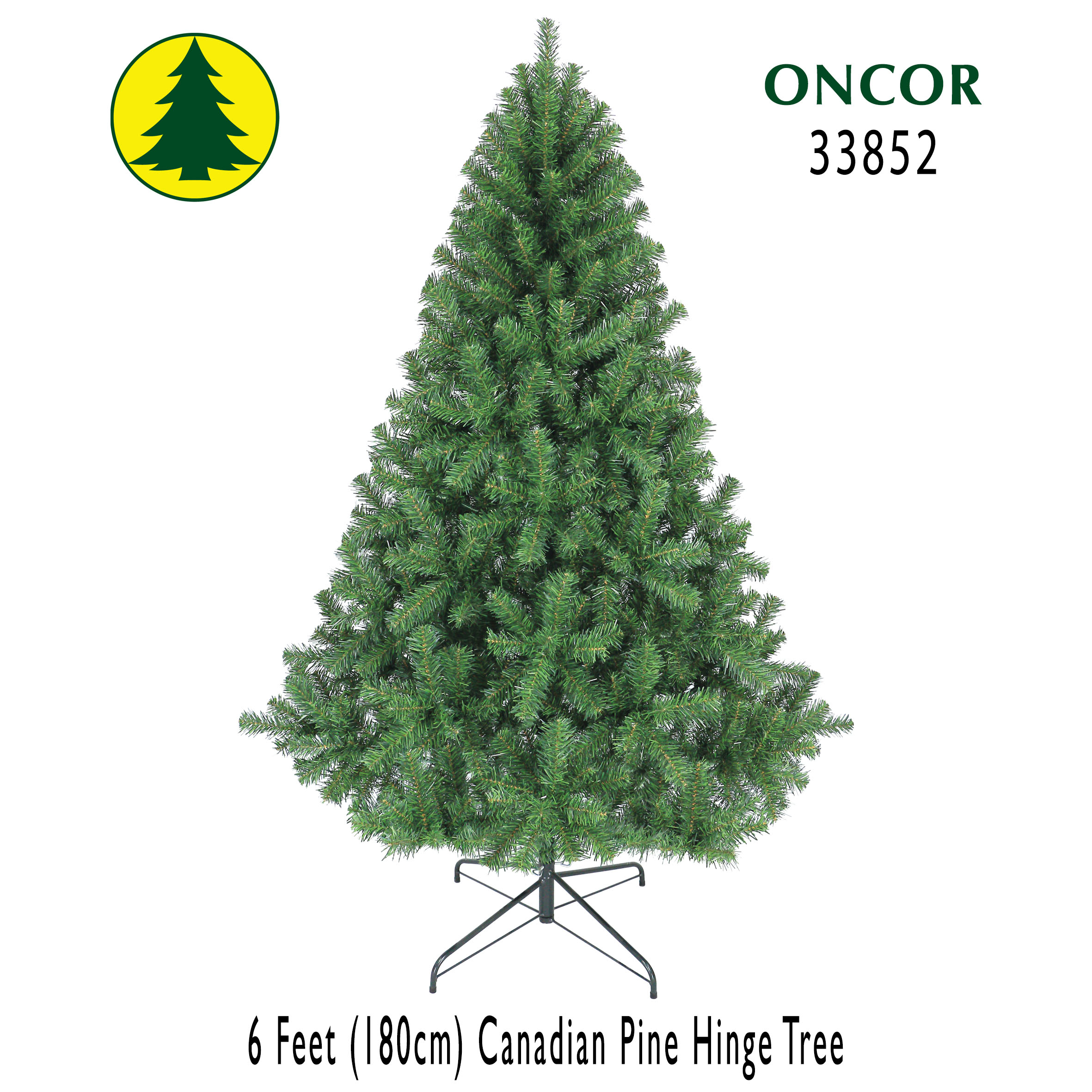 6Ft_33852_Box.jpg