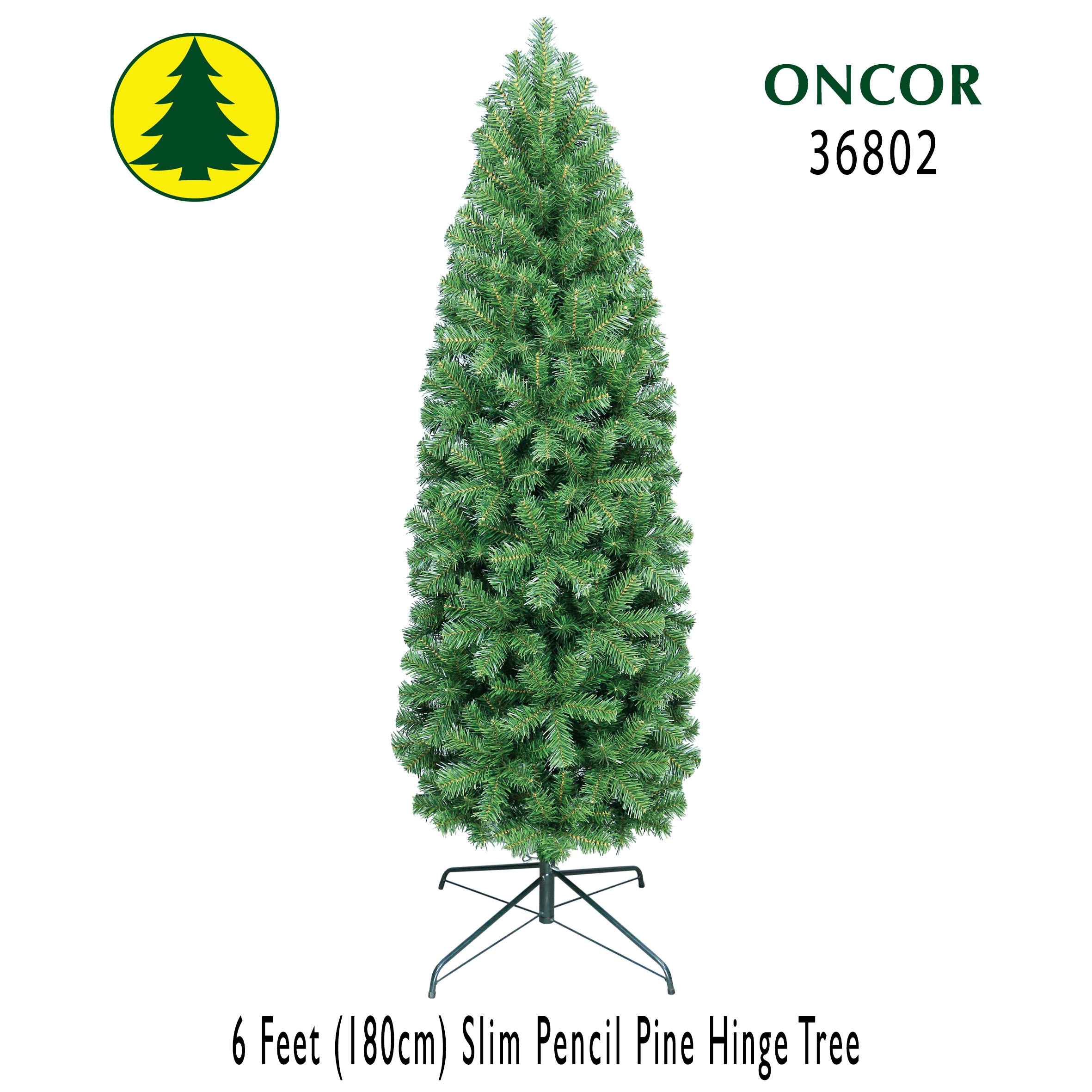 6Ft_36802_Box.jpg