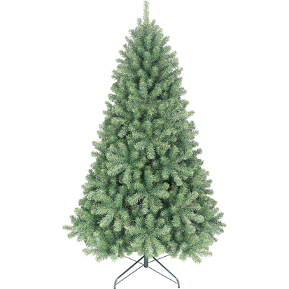 Item 42260 : 6ft Christal Nordmann Fir