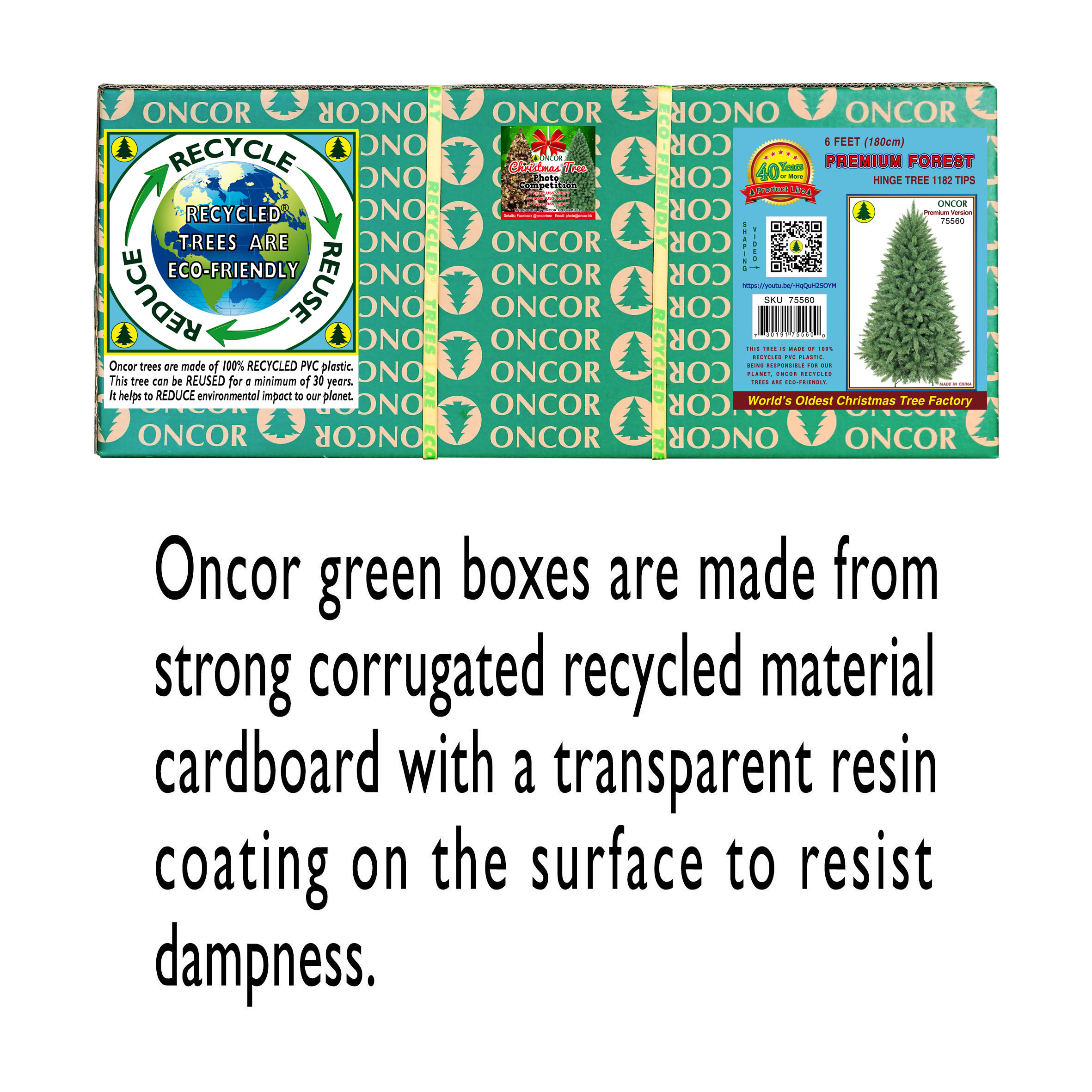 slide1_75560.jpg