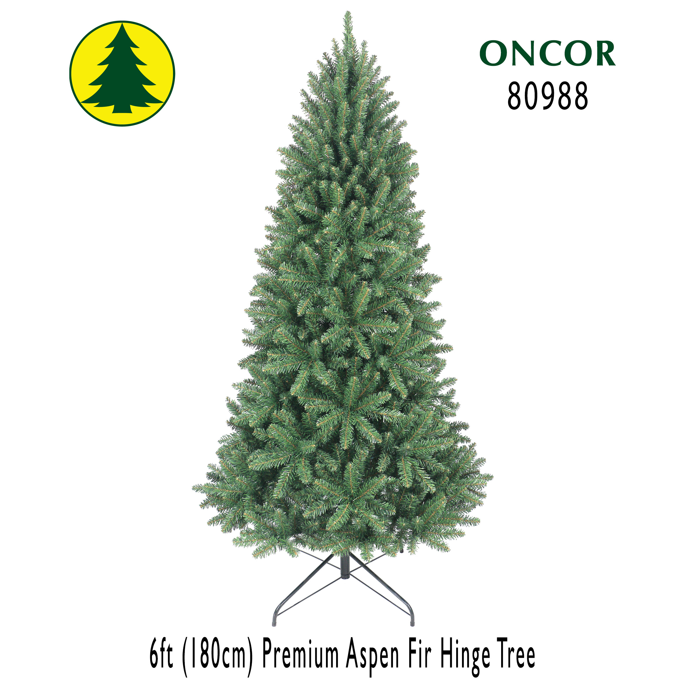 6Ft_80988_Box.jpg
