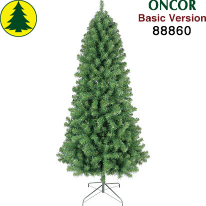 Item 88860 : 6ft Vermont Spruce
