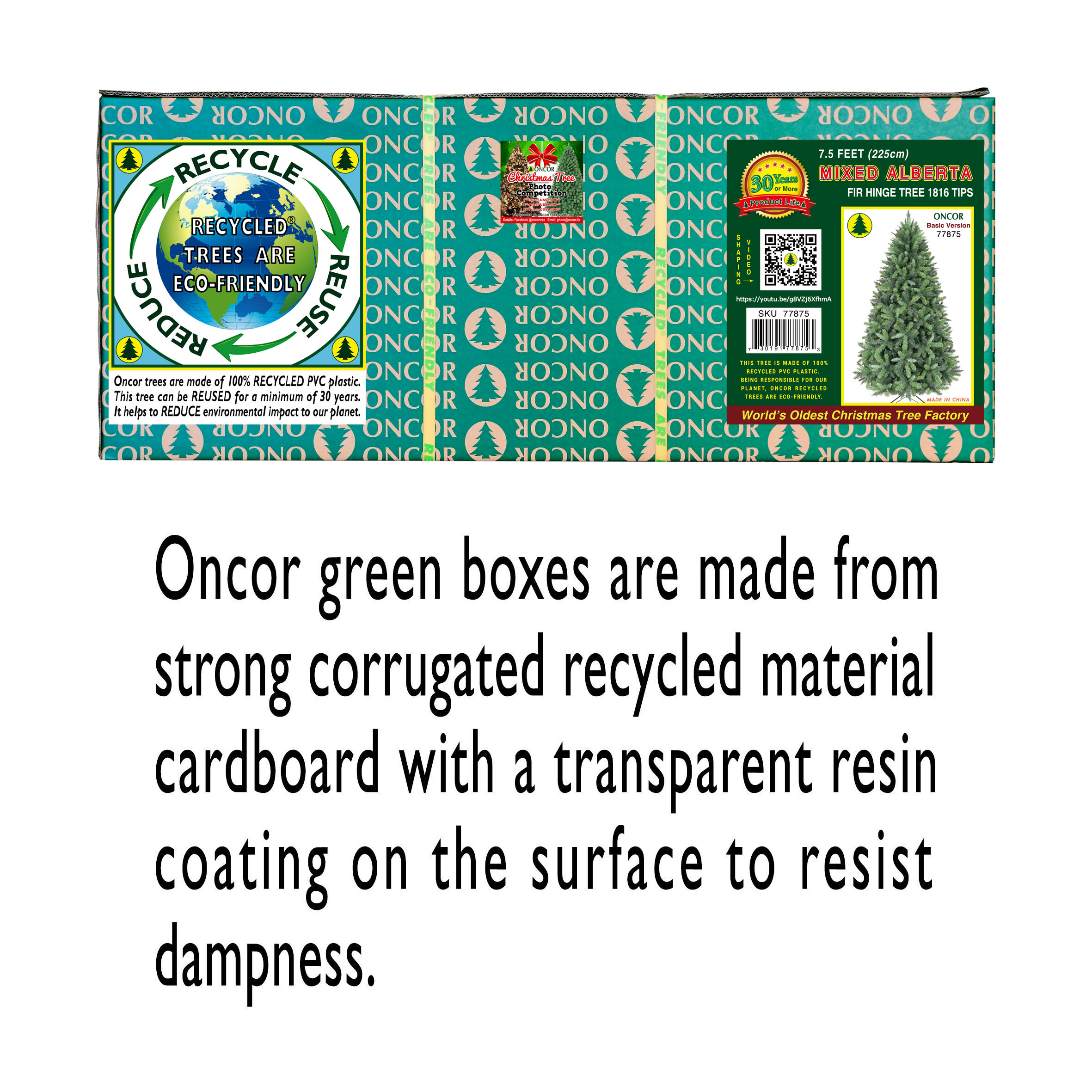 slide1_77875.jpg