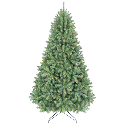 Item 42270 : 7ft Christal Nordmann Fir