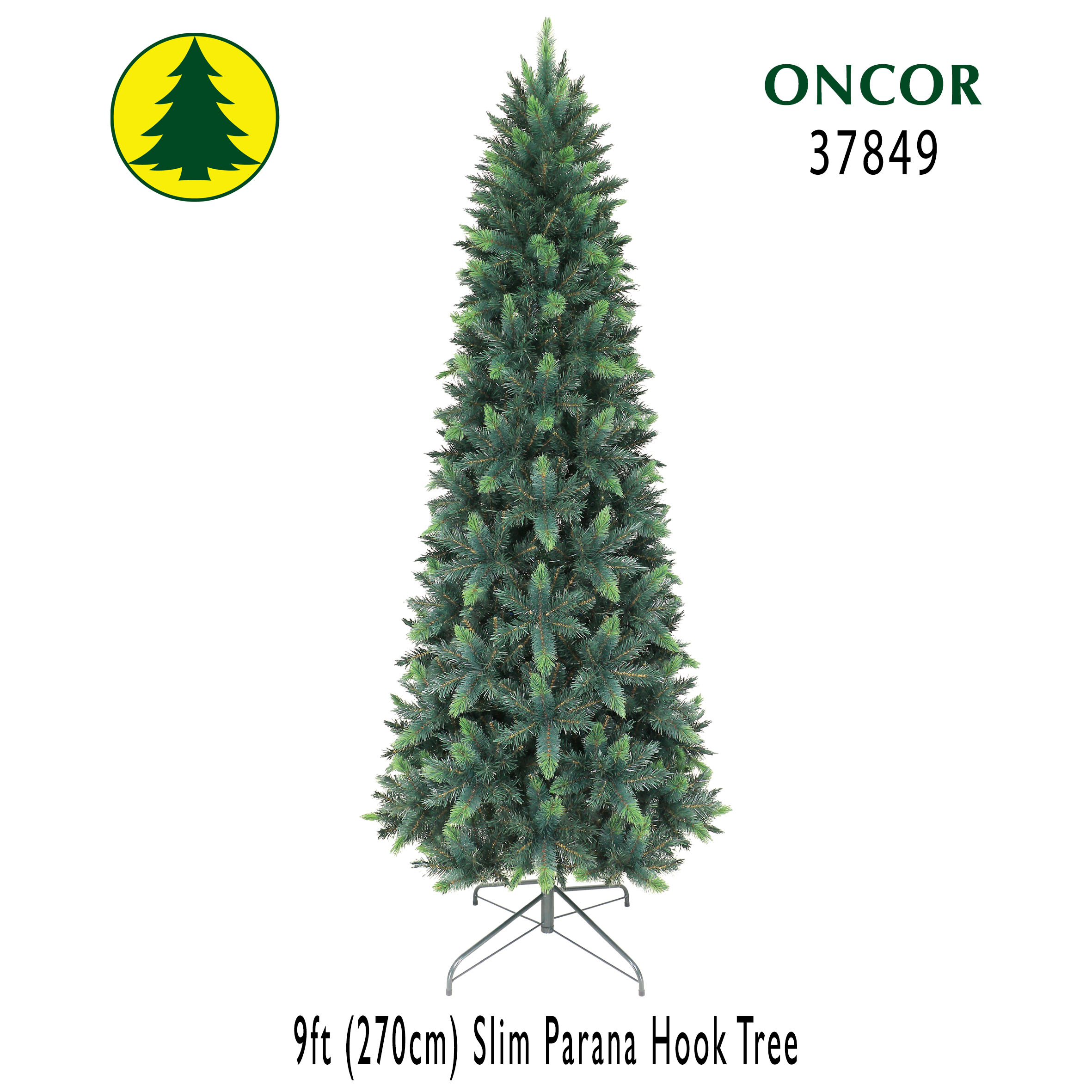 コロニスタ　oman10 real tree vwTca018a1cc26487.jpg