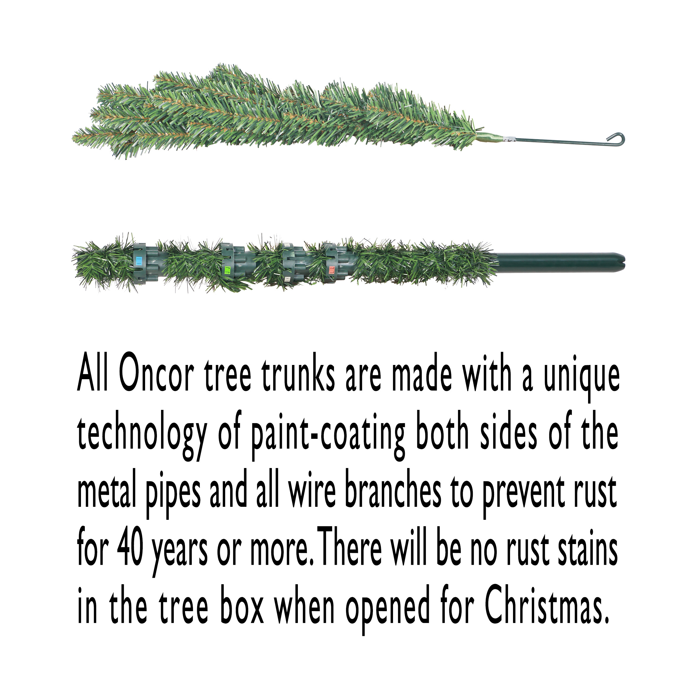 slide3_70040.jpg