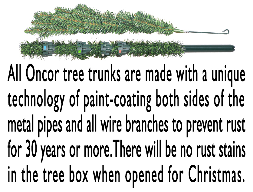 Trunk.jpg